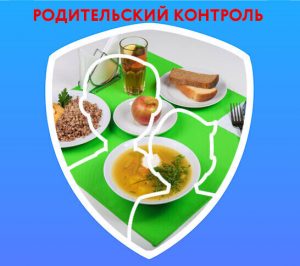 Родительский контроль по организации питания.