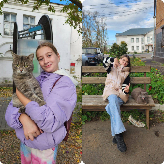 Фотоквест «В поисках кота/ кошки».